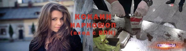 гашик Балахна