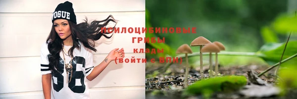 гашик Балахна
