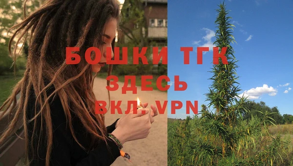 гашик Балахна