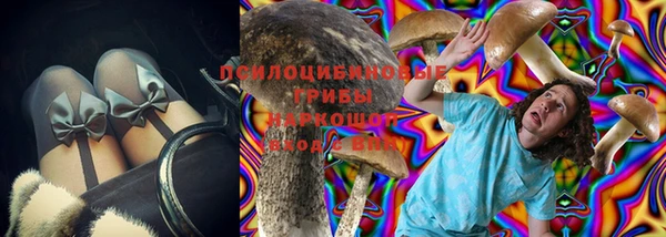 apvp Баксан