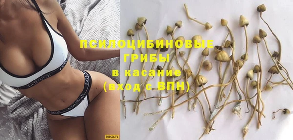 гашик Балахна