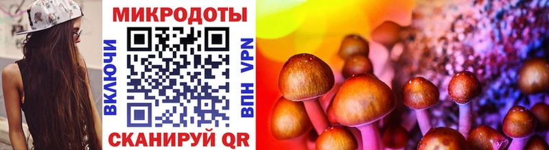 купить закладку  Оленегорск  Псилоцибиновые грибы Psilocybe 